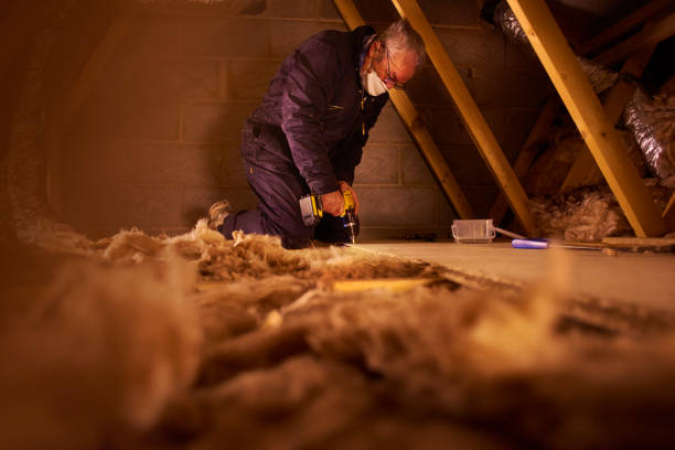 Best Geographic-Specific Insulation Services in Maan, ND